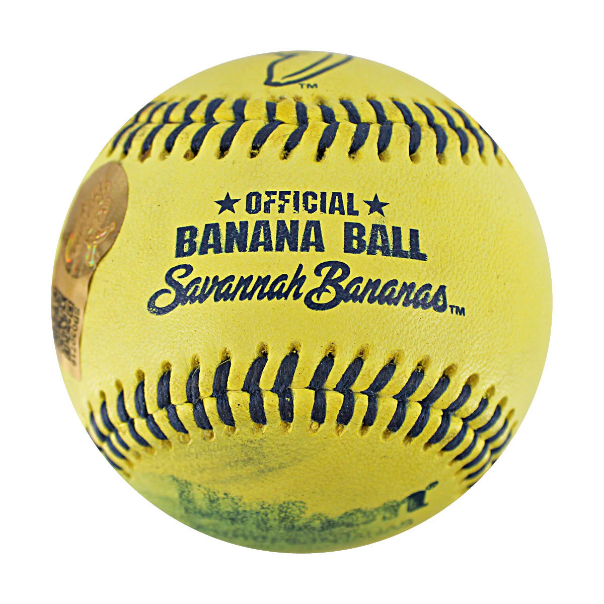Andy Archer Bananas Autographed Game Used Official Banana Ball 8.29.25 PNC Park  - Image 2
