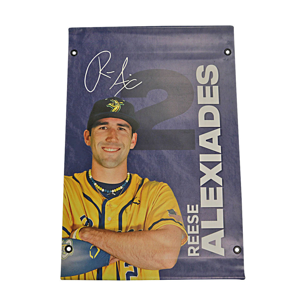 Reese Alexiades Autographed Inscribed Savannah Bananas 2024 Grayson Stadium 24"x35" Vinyl Banner - Image 4